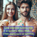 Cynk odgrywa istotną rolę w biosyntezie DNA i RNA gavital