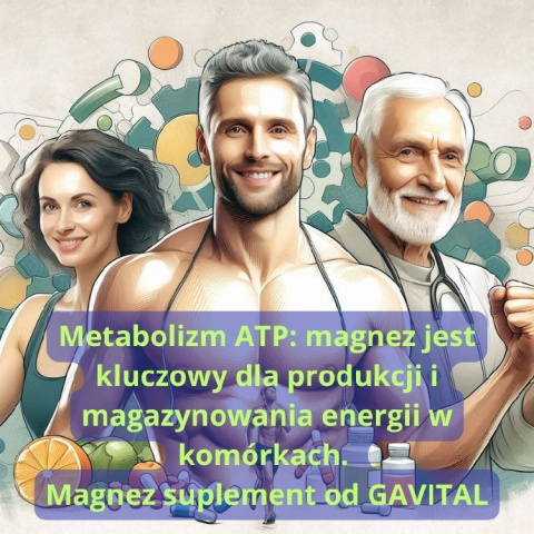 Metabolizm ATP magnez gavital puromedica Metabolizm ATP magnez gavital puromedica