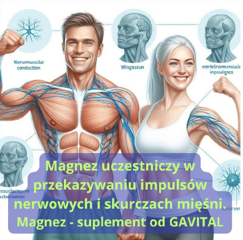 magnez Uczestniczy w przekazywaniu impulsów nerwowych skurczach mięśni gavital plyn magnez Uczestniczy w przekazywaniu impulsów nerwowych skurczach mięśni gavital plyn