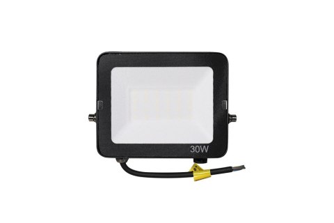 Naświetlacz halogen LED 30W 5000K 3000lm IP65