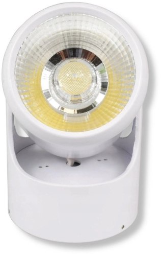 Reflektor LED lampa natynkowa biała 15W 4500K 300lm kąt świecenia 24°