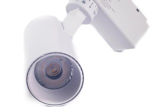 Reflektor LED lampa szynowa biała 10W 1 fazowa 3000K 1000lm kąt świecenia 30°
