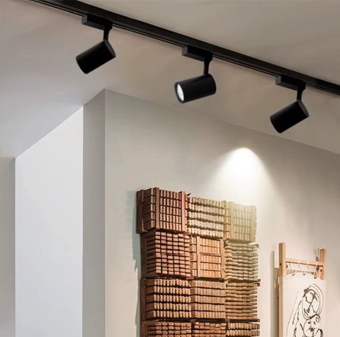 Reflektor LED szynowy lampa szynowa 30W 1 fazowa 6000K biała