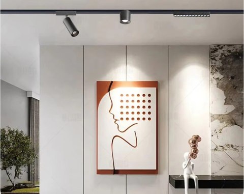 Reflektor Spot Szynowy Magnetyczny LED 24W 6000K 48V Czarny - Nowoczesne Oświetlenie