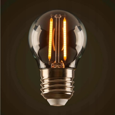 Zestaw girlanda ogrodowa żarówkowa 5m 5pkt+5szt żarówka Edison LED 2W G45 E27 2700K ciepła