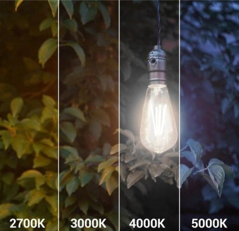 Żarówka LED ST64 E27 Filament 4000K 4W retro vintage typ Edison barwa neutralna